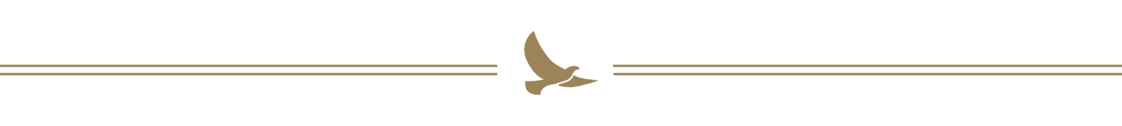 The Value Exchange Promo Page Divider Value Exchange Book Logo Bird Page Divider