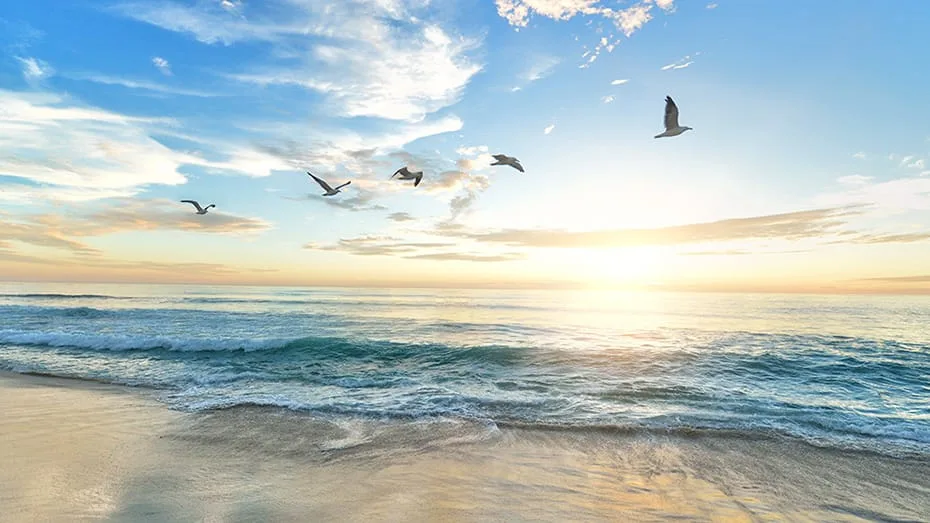 Home-Page-Banner-Image-930x523